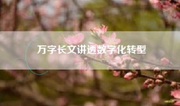 万字长文讲透数字化转型