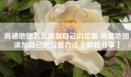 高德地图怎么添加自己的位置 高德地图添加自己的位置方法【教程分享】
