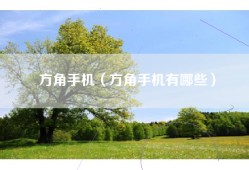 方角手机（方角手机有哪些）