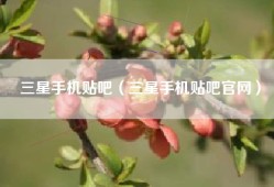 三星手机贴吧（三星手机贴吧官网）