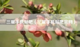 三星手机贴吧（三星手机贴吧官网）