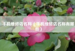 手机维修店名称（手机维修店名称有哪些）