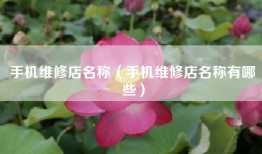 手机维修店名称（手机维修店名称有哪些）