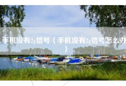 手机没有2g信号（手机没有2g信号怎么办）