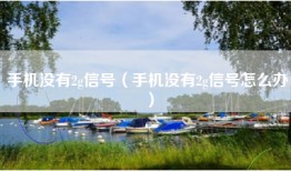 手机没有2g信号（手机没有2g信号怎么办）