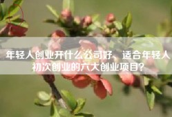 年轻人创业开什么公司好、适合年轻人初次创业的六大创业项目？