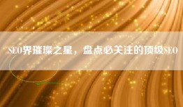 SEO界璀璨之星，盘点必关注的顶级SEO