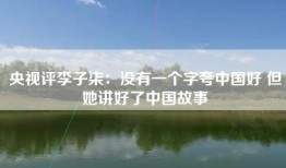 央视评李子柒：没有一个字夸中国好 但她讲好了中国故事