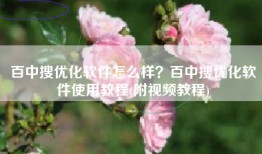 百中搜优化软件怎么样？百中搜优化软件使用教程(附视频教程)