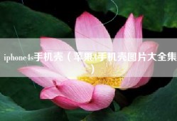 iphone4s手机壳（苹果4手机壳图片大全集）