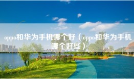 oppo和华为手机哪个好（oppo和华为手机哪个好些）