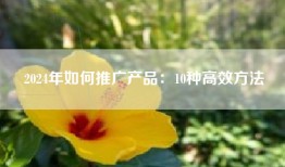 2024年如何推广产品：10种高效方法