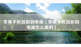 苹果手机投影到电视（苹果手机投影到电视怎么黑的）