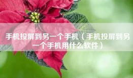 手机投屏到另一个手机（手机投屏到另一个手机用什么软件）