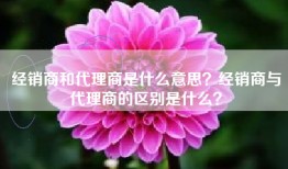 经销商和代理商是什么意思？经销商与代理商的区别是什么？