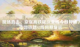 现场直击：京张高铁延庆支线今日开通，市郊铁路S2线同期复运