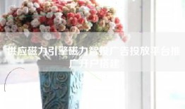 供应磁力引擎磁力智投广告投放平台推广开户搭建