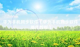 华为手机同步软件(华为手机同步软件操作教程)