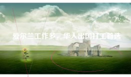 爱尔兰工作多，华人出国打工首选