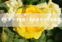 手机多少寸合适（手机多少寸合适家用）
