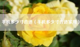 手机多少寸合适（手机多少寸合适家用）