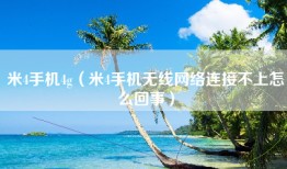 米4手机4g（米4手机无线网络连接不上怎么回事）