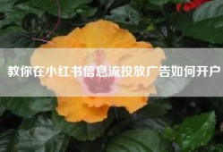 教你在小红书信息流投放广告如何开户