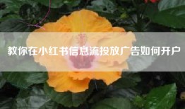 教你在小红书信息流投放广告如何开户