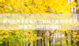 我的世界手机版怎么联机(我的世界手机版怎么联机加模组)