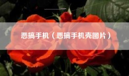 恶搞手机（恶搞手机壳图片）