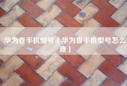 华为查手机型号（华为查手机型号怎么查）