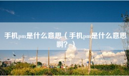 手机pm是什么意思（手机pm是什么意思啊？）