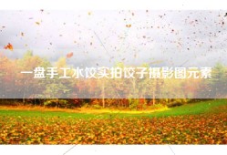 一盘手工水饺实拍饺子摄影图元素