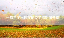 一盘手工水饺实拍饺子摄影图元素