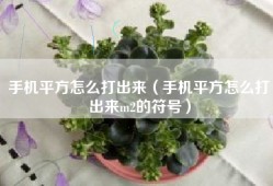 手机平方怎么打出来（手机平方怎么打出来m2的符号）
