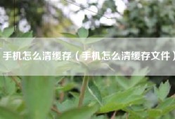 手机怎么清缓存（手机怎么清缓存文件）