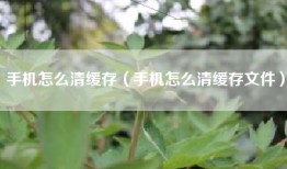 手机怎么清缓存（手机怎么清缓存文件）