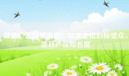 微信广告投放策略：精准定位目标受众，提升产品知名度