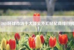 2024环球市场十大顶尖外汇经纪商排行榜！