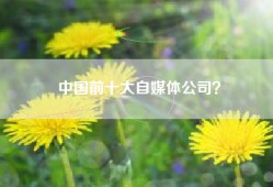 中国前十大自媒体公司？