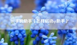 QT手机助手（怎样启动qt助手）
