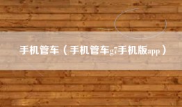 手机管车（手机管车g7手机版app）