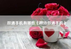 双通手机有哪些（双待双通手机）