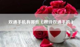 双通手机有哪些（双待双通手机）
