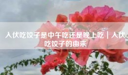 入伏吃饺子是中午吃还是晚上吃｜入伏吃饺子的由来