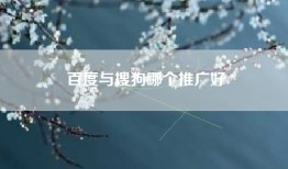 百度与搜狗哪个推广好