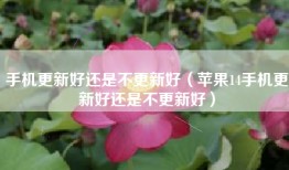 手机更新好还是不更新好（苹果14手机更新好还是不更新好）