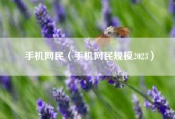 手机网民（手机网民规模2023）