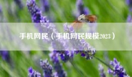 手机网民（手机网民规模2023）