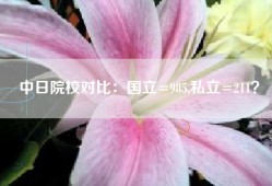 中日院校对比：国立=985,私立=211？